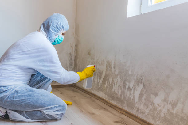 Mold Remediation specialist working in Trenton